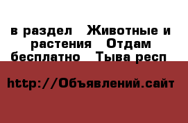  в раздел : Животные и растения » Отдам бесплатно . Тыва респ.